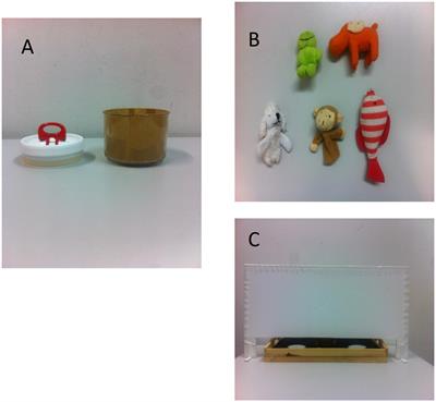 12- and 24-Month-Old Infants’ Search Behavior Under Informational Uncertainty